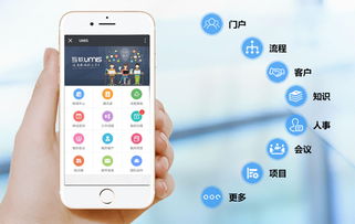 上海互聯(lián)網(wǎng)軟件集團 高端協(xié)同管理軟件與安全服務解決方案